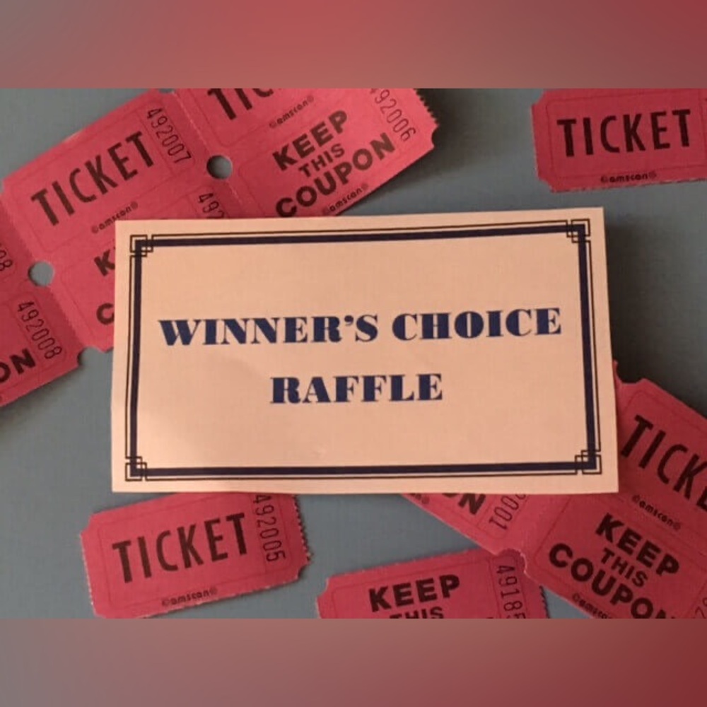 (#12) WINNER’S CHOICE (As is condition)